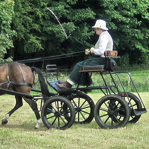 Winner at the Lochinch Presentation  class run by BDS Galloway